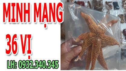  máy chạy bộ Hoàng Mai 